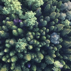 transición energética