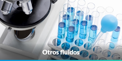 fluidos
