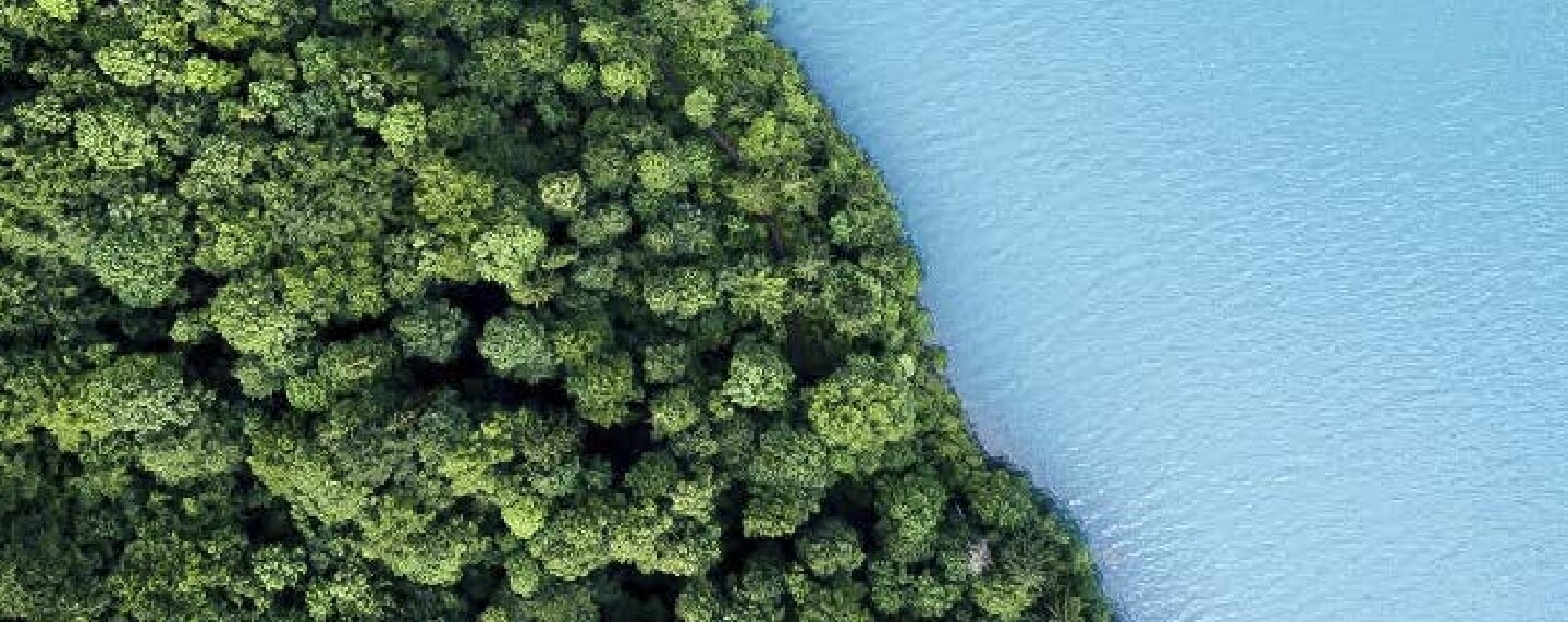 lucha contra el cambio climatico